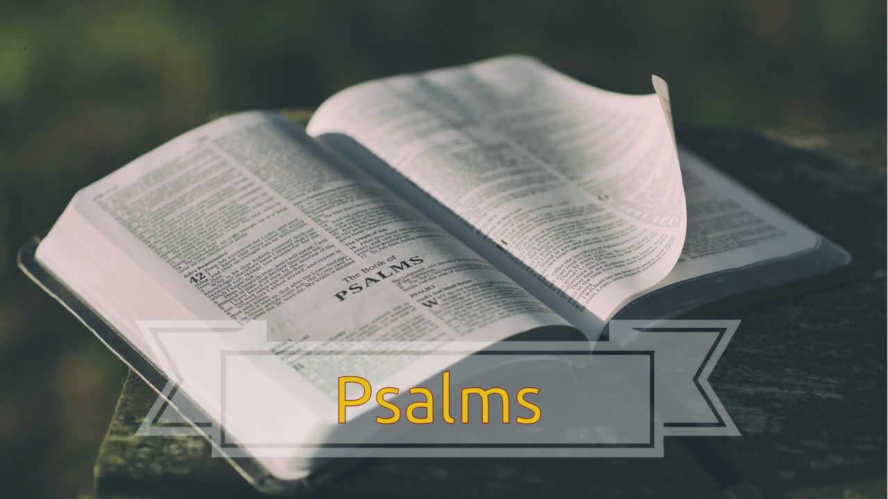 Psalms Cover Image